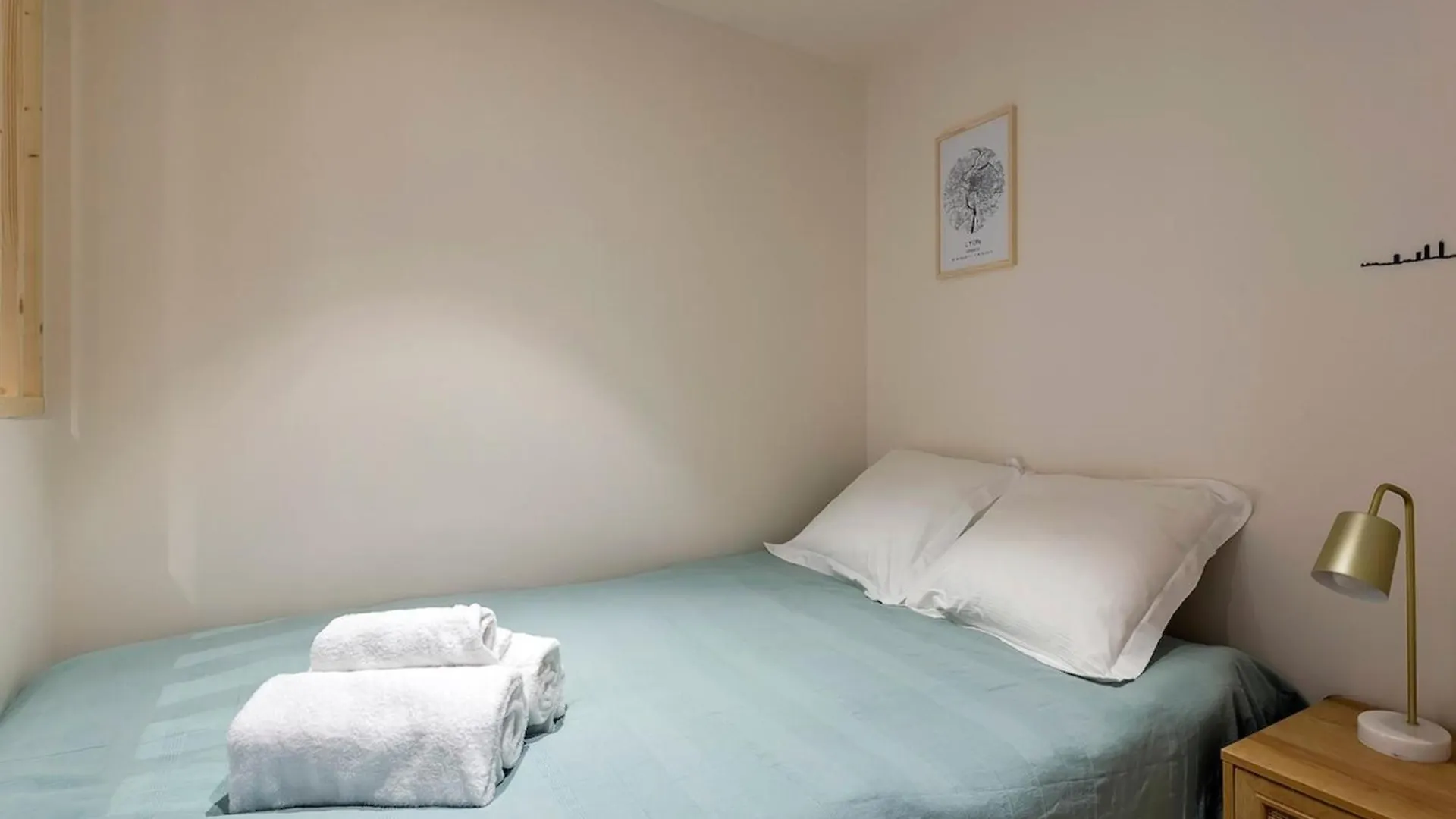 Cozy Studio - Heart Of The Traboule Lyon Appartement